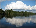 Amazon landscapes