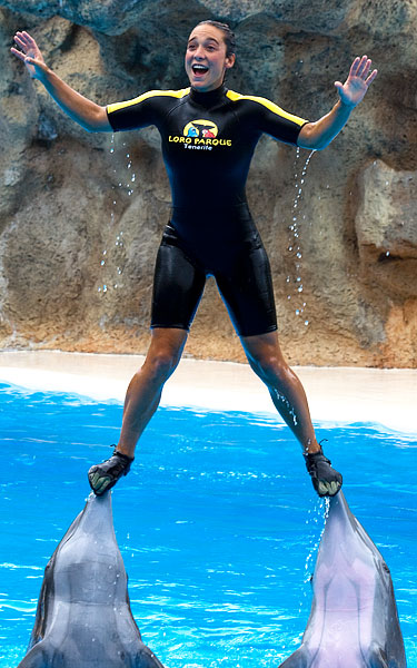dolphin display