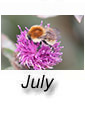July 2025