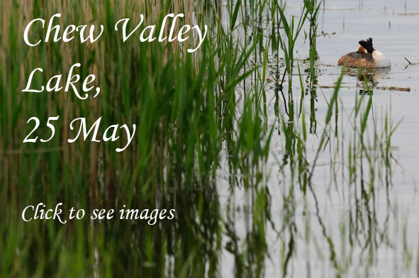 Chew Valley Lake photo link