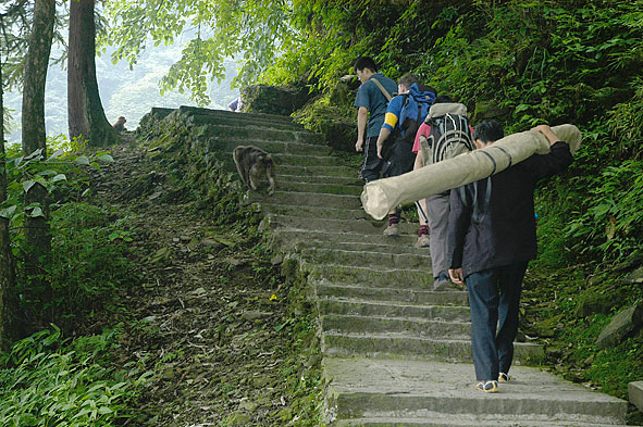 the walk to Mount Emei