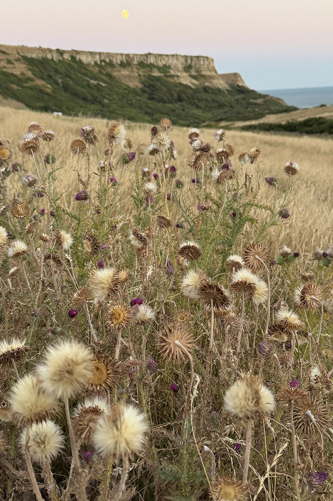 Purbeck